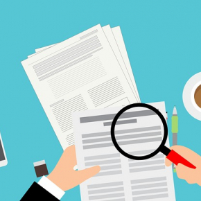 Verifica Online delle P.IVA
